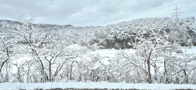 [강원 양양] 하조대IC3분레트로갬성#마당넓은애견동반#불멍바베큐화로별빛 37