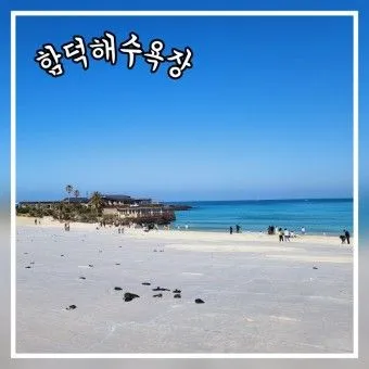[제주 조천] 함덕해수욕장3분 #오션뷰#올레길19코스옆#유채꽃밭뷰 47