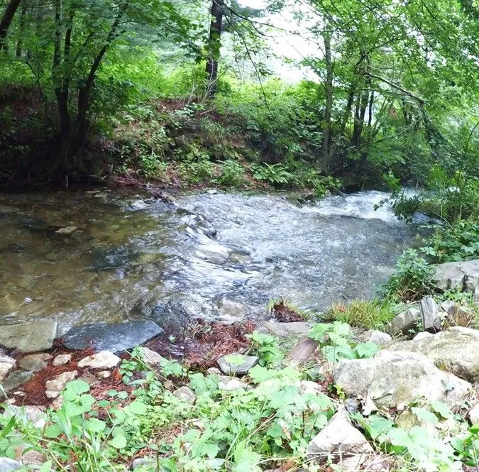 [Jeongseon][Gangwon Jeongseon] Dokchae 14