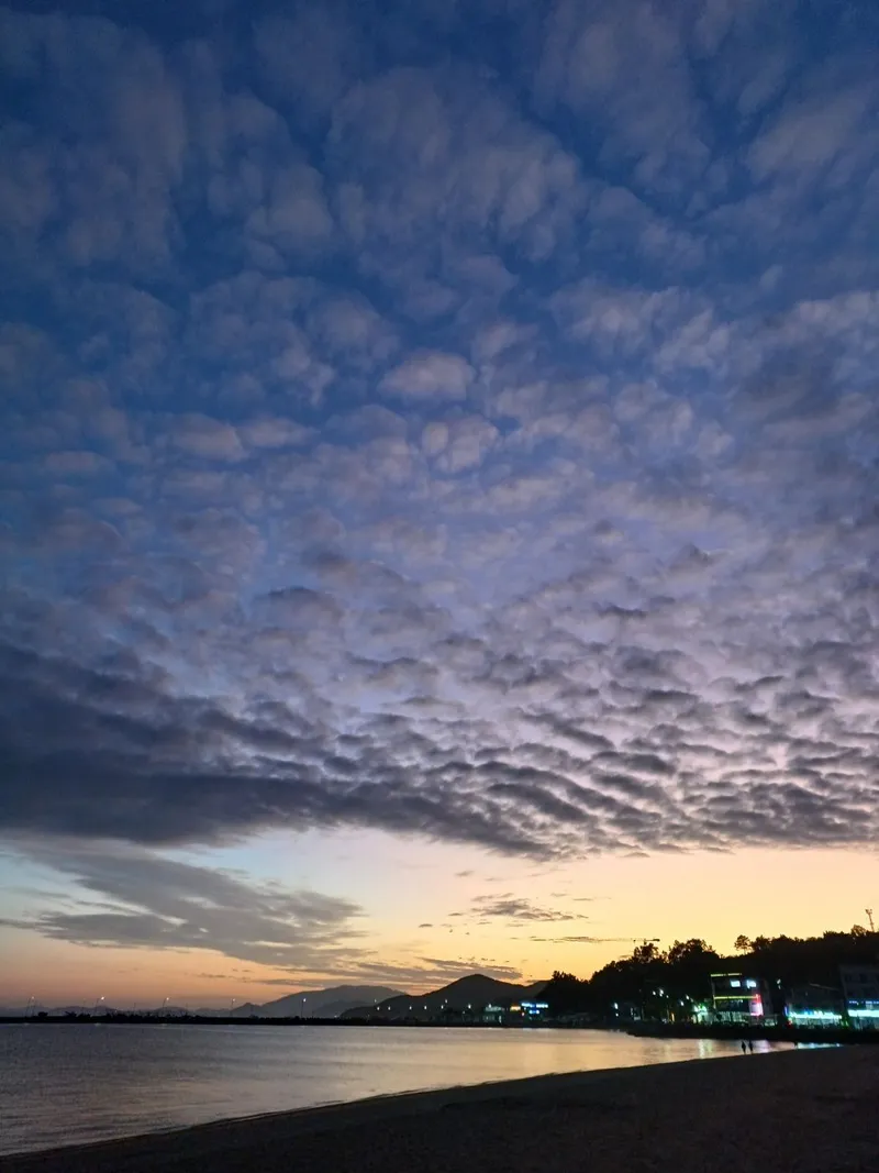 [전남 여수] 돌산대교 야경뷰가 예쁜 단독 26