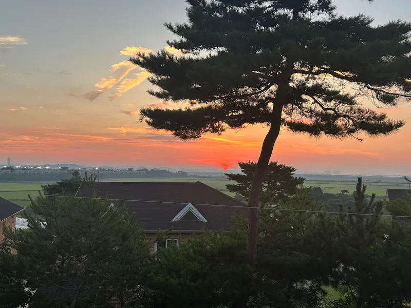 [Dangjin] Dangjin, South Chungcheong Province) Morning on the terrace/Villa in a country house/Room 5/1 hour from Seoul/12 minutes from the sea 58