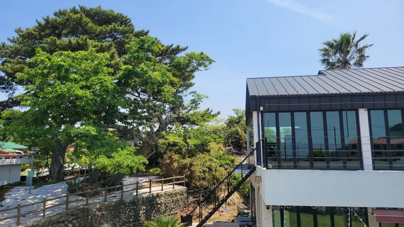 [제주 애월] 가성비 감성숙소,75인치TV,실평수15평,테라스,잔디마당 32