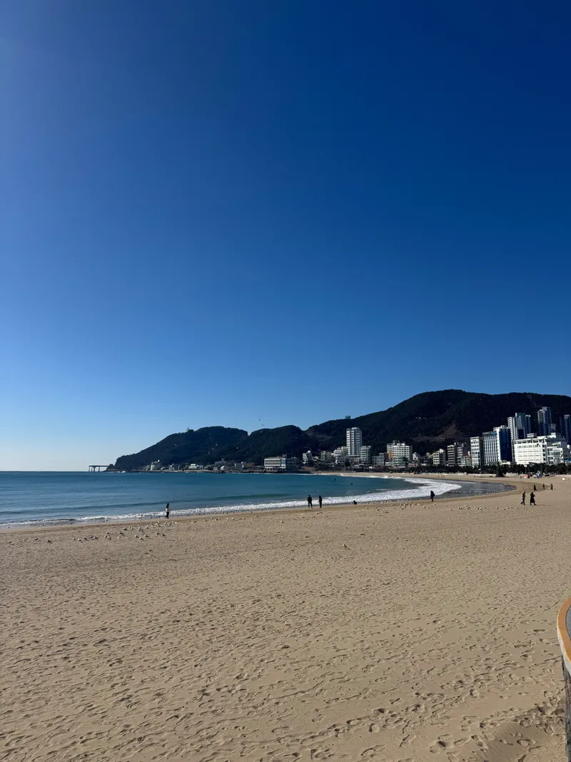 [부산 해운대] 달맞이길 오션뷰가 보이는 대형 평수 29