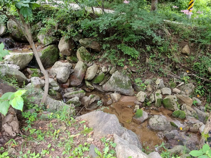 [Muju] A mud house in the forest on the slopes of Minjujisan Mountain 15