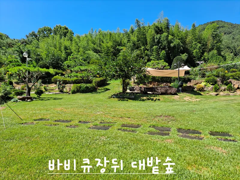 [전남 곡성] 섬진강 기차마을 대나무숲 마당넓은 애견동반 오직 한팀 펜션 122