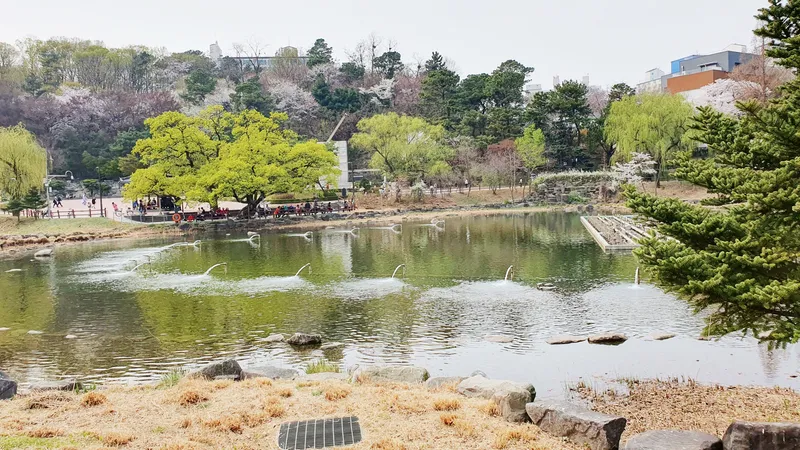 [서울 관악][서울신림]해피하우스. 아늑한 목재 내부 인테리어 원룸. 애완동물가능 19