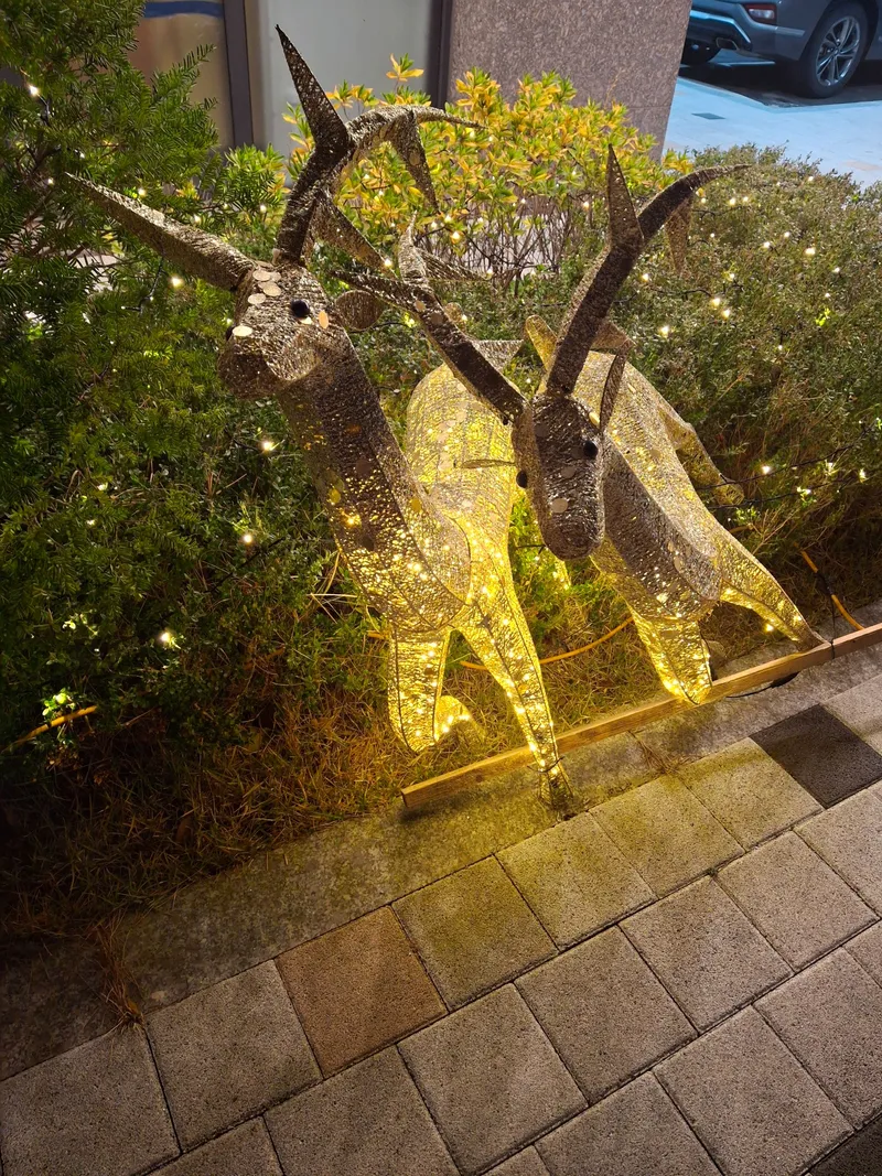 [Yeosu] Dongbaek 936 31