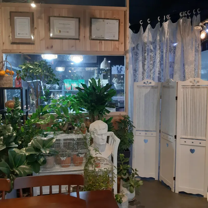 [Jeonju][Jeonju, Jeollabuk-do] 31