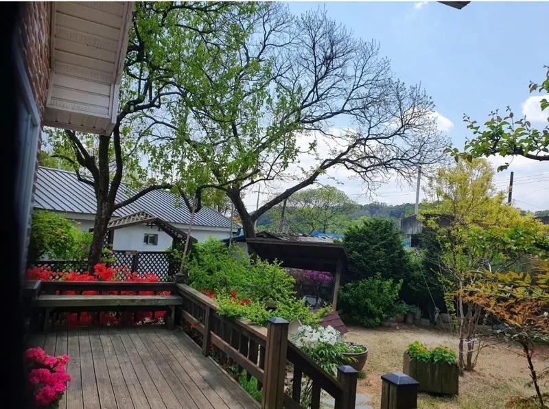 [충남 금산] 인삼의 고장에 위치한 잔디밭 마당 목조단독주택 12