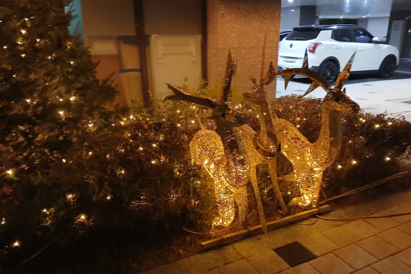 [Yeosu] Cherry House & Ocean View One Room (8th floor) 29