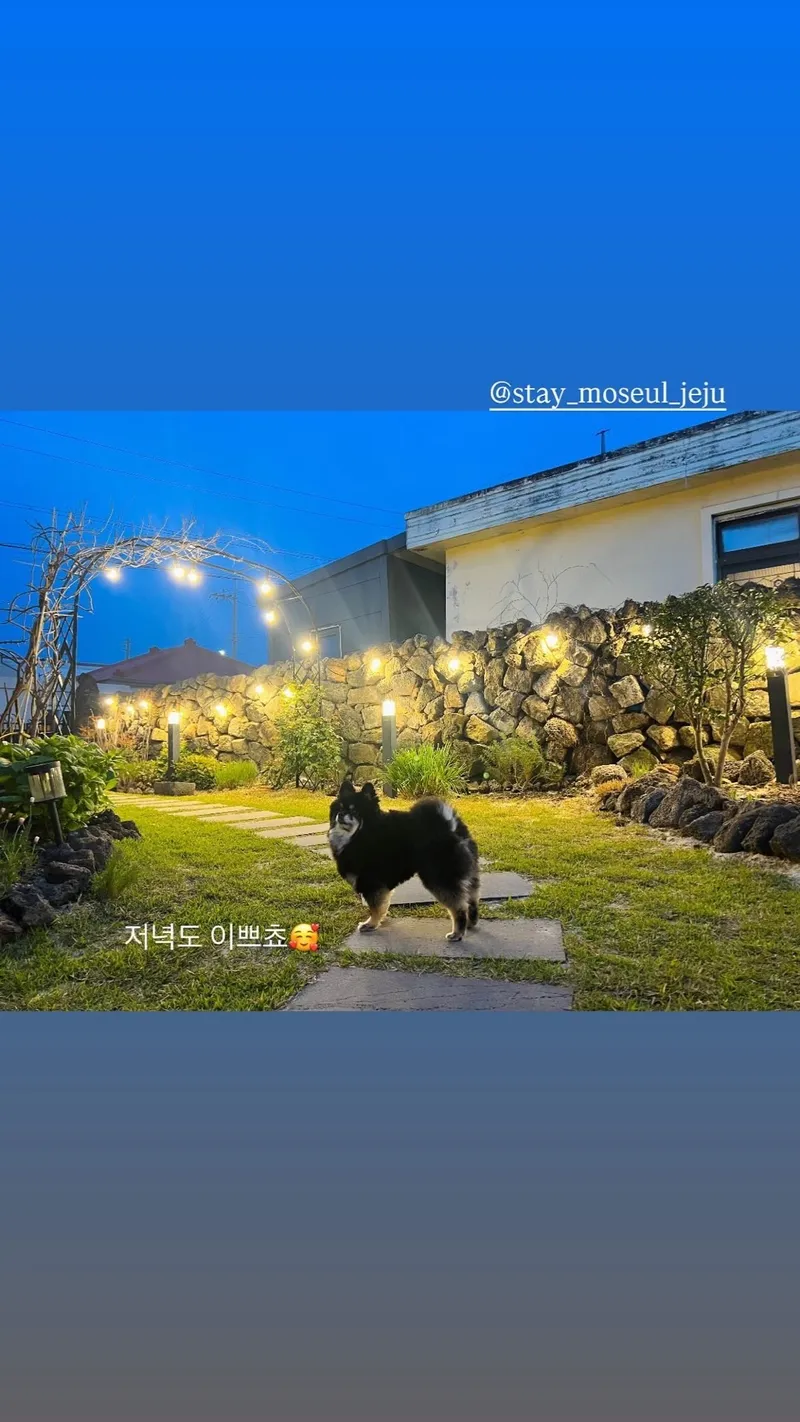 [서귀포 대정] 정원이 아름다운 프라이빗 독채 #애견동반#돌집#마당 95