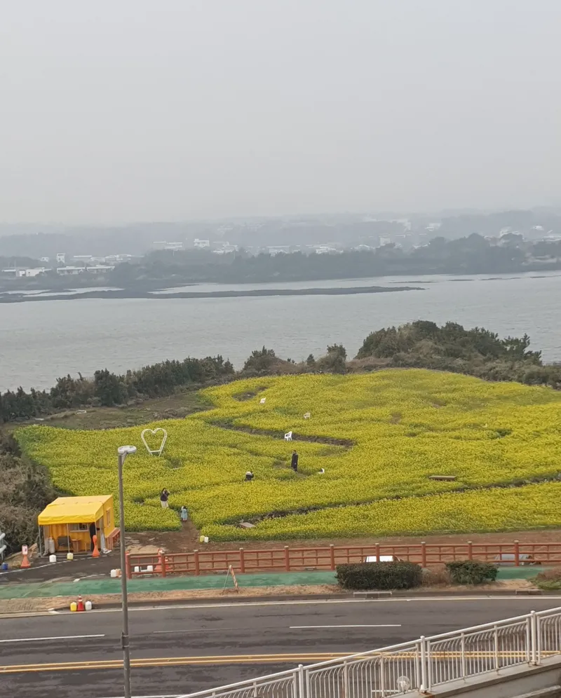 [Seongsan, Seogwipo] Sunrise Peak Penthouse Ocean View Two-Room Duplex Residence 39