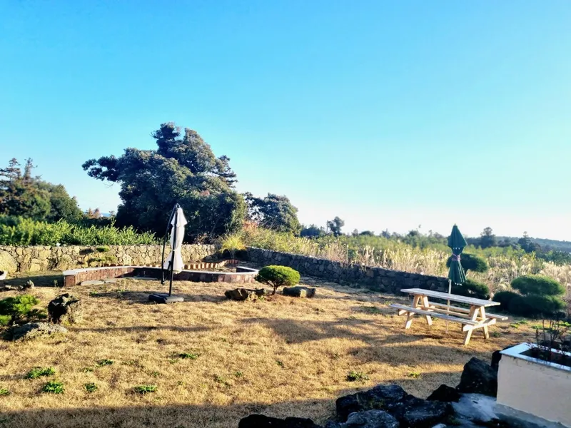 [Seongsan, Seogwipo] Seongsan-eup One-room for a Month - Seongsan Sunrise Peak/Seopjikoji 10 minutes by car 11