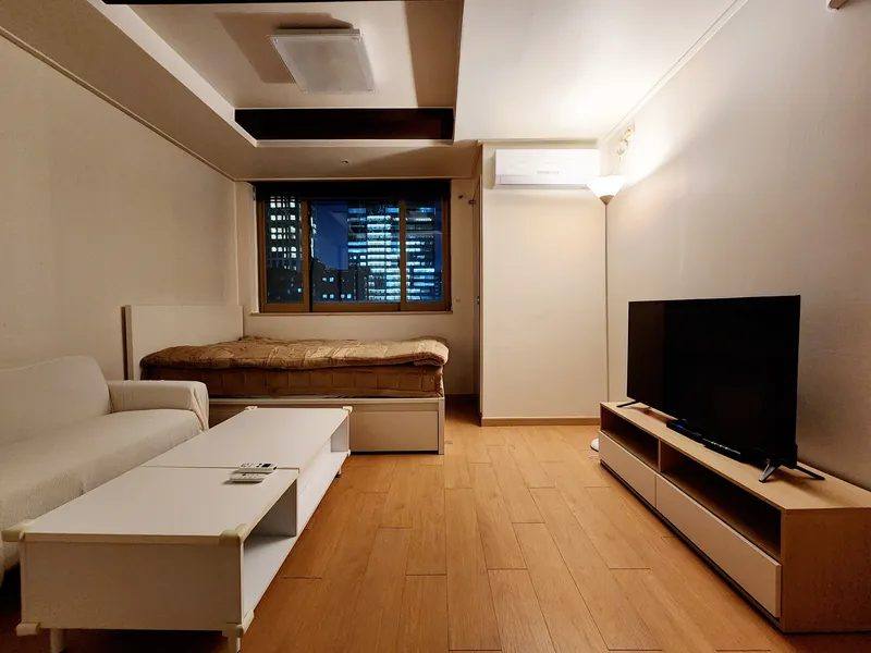 [Gangnam, Seoul] 5 minutes from Gangnam Station City View Pool Option 4