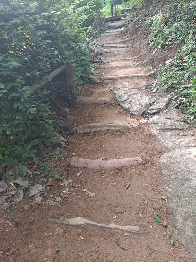 [서울 종로][종로 부암동]마당 이쁘고 루프탑에서 북악산뷰 (3층전체) 52