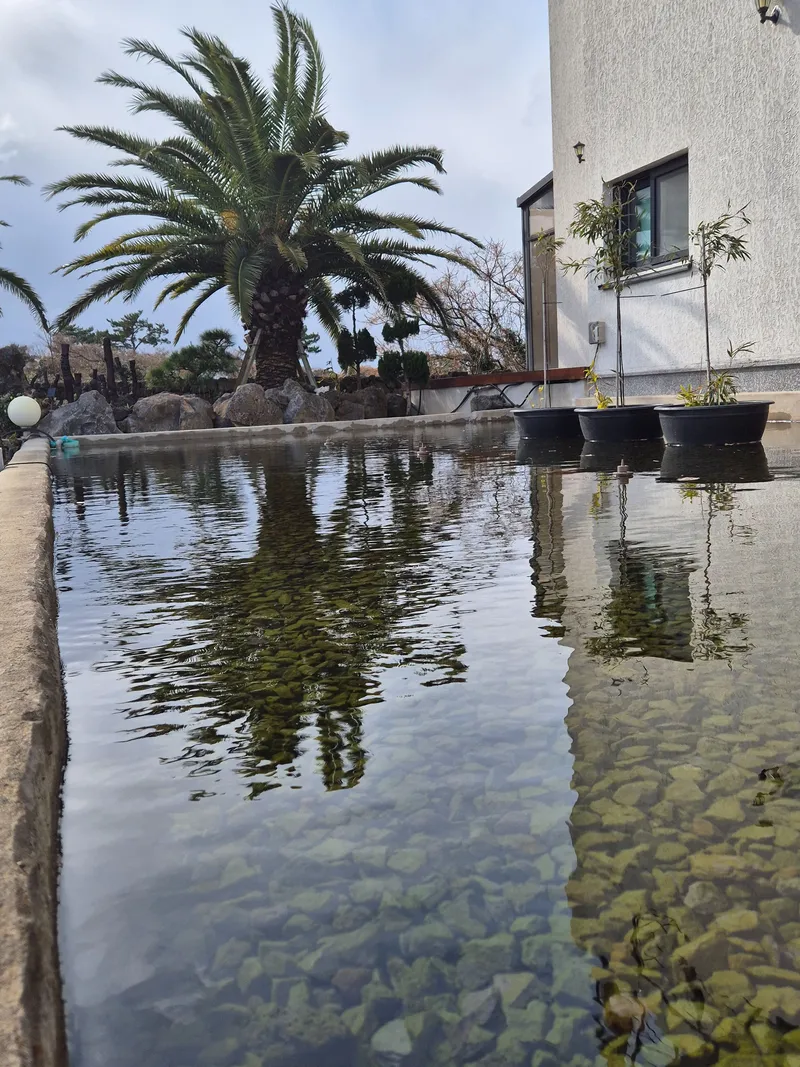 [제주 한림] 제주서쪽/ 협재해수욕장 차로3분/ 오션뷰/ 루프탑/ 노을 39