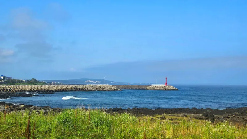 [Namwon, Seogwipo] Dog-friendly, independent stay in Namwon-eup, 3 minutes away, large dogs allowed 37