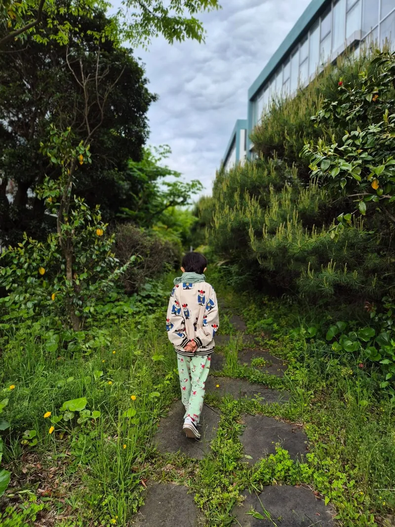 [Topyeong-dong, Seogwipo] (7 days or more) STAY Forest of Silence #1st floor terrace #Forest #Cedar stone wall forest [Seogwipo] 60