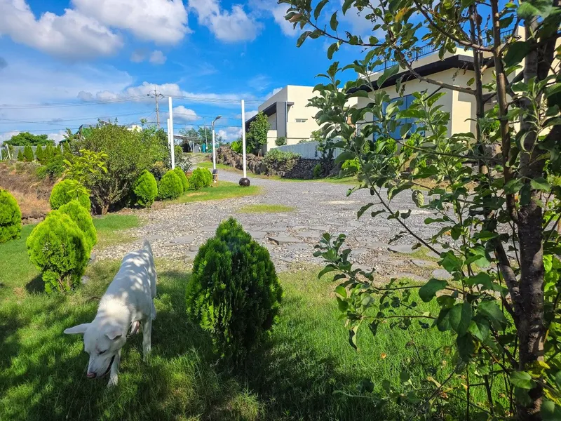 [Hallim, Jeju] Private villa with ocean view 103 35