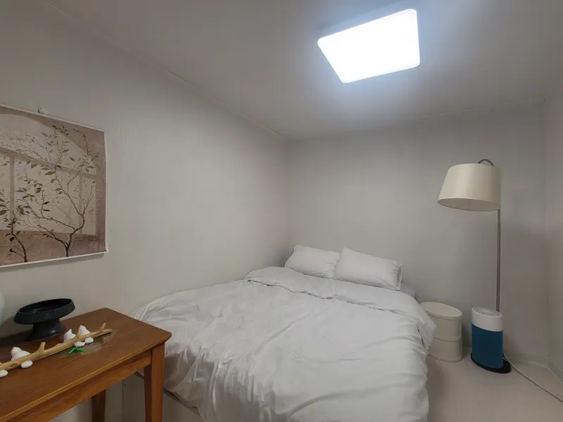 [Songpa, Seoul] Fully furnished queen 1 + single 2 near Jamsil Saenae Station, pets allowed 3