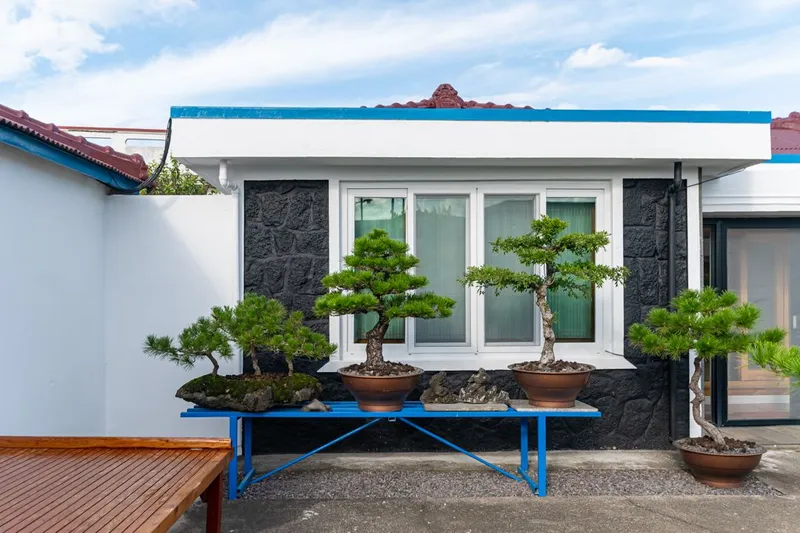 [Gujwa, Jeju] A relaxing stone-walled shade house 1 #3-minute walk from the beach in Handong-ri 22