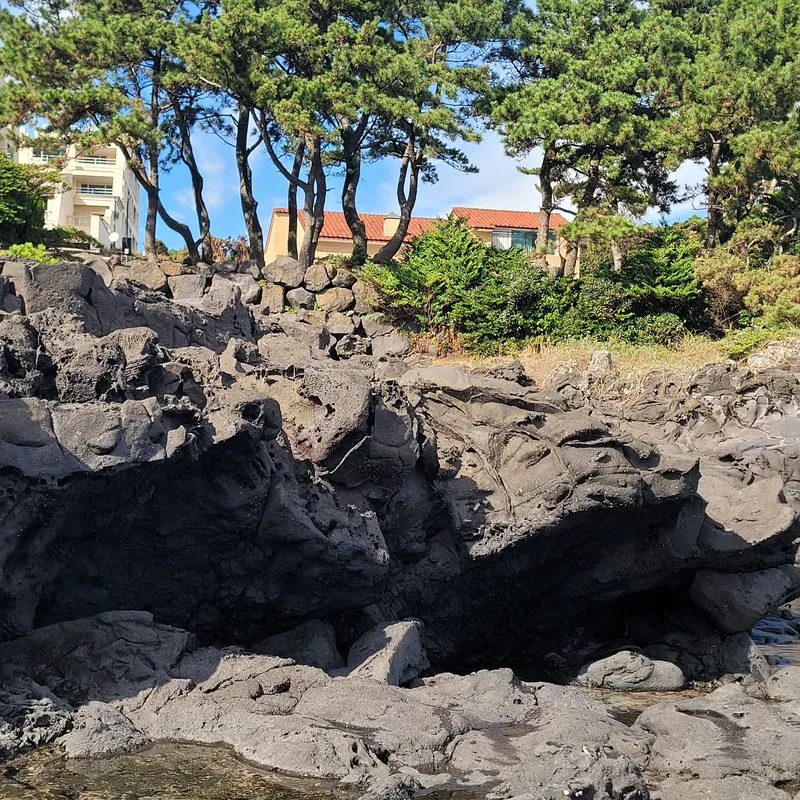 [Namwon, Seogwipo] A private house with the sea right in front of you 27