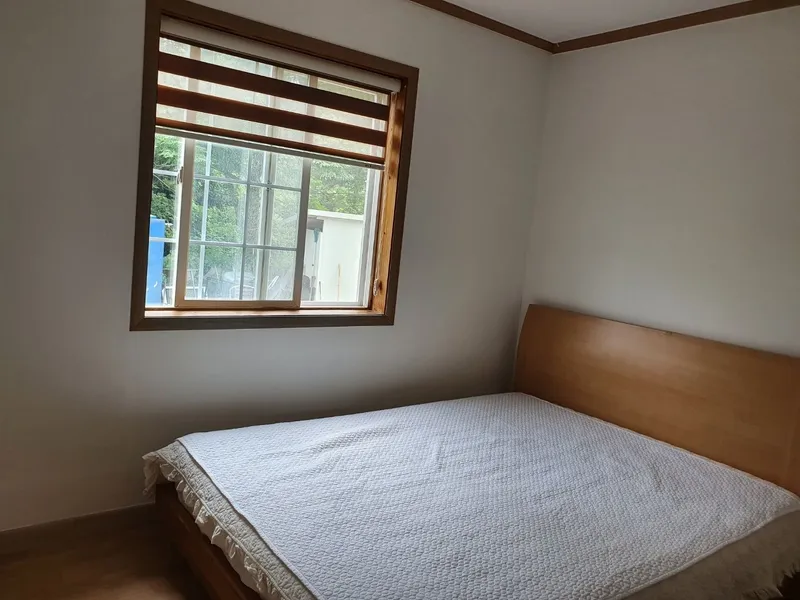 [제주 구좌] 금목서향기 가득한 노노레타 비자림 2