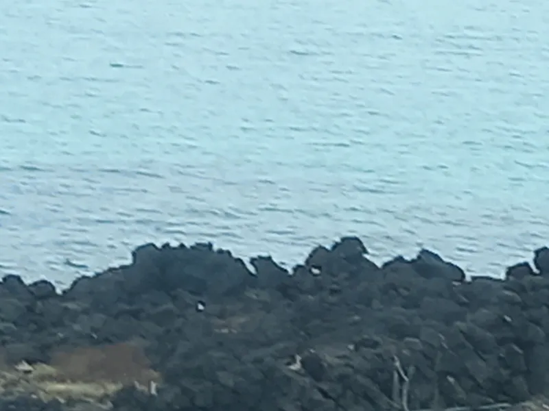 [Hallim, Jeju] Biyangdo/Ocean view Hyeopjae Beach Stay #203 #Pets allowed 7