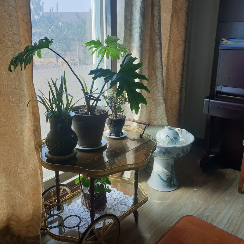 [Dangjin] Dangjin, South Chungcheong Province) Morning on the terrace/Villa in a country house/Room 5/1 hour from Seoul/12 minutes from the sea 18