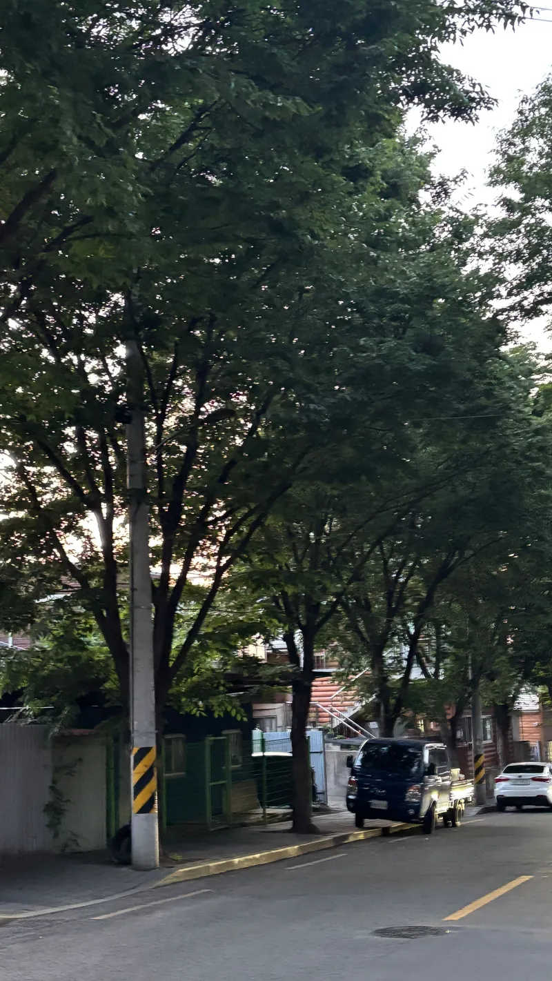 [Dalseong, Daegu] A place where memories stay, emotional house, 2nd floor, Daegu Hwawon Seongseo Hyeonpung 16