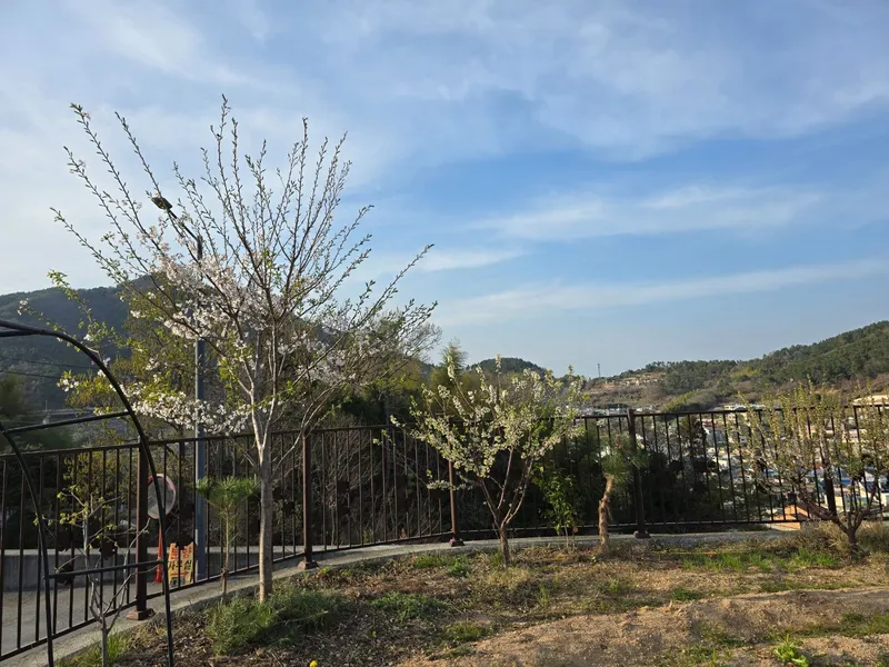 [Geoje] Healing stay in a private space with sky view, mountain view, and sea view [Pet-friendly] 23