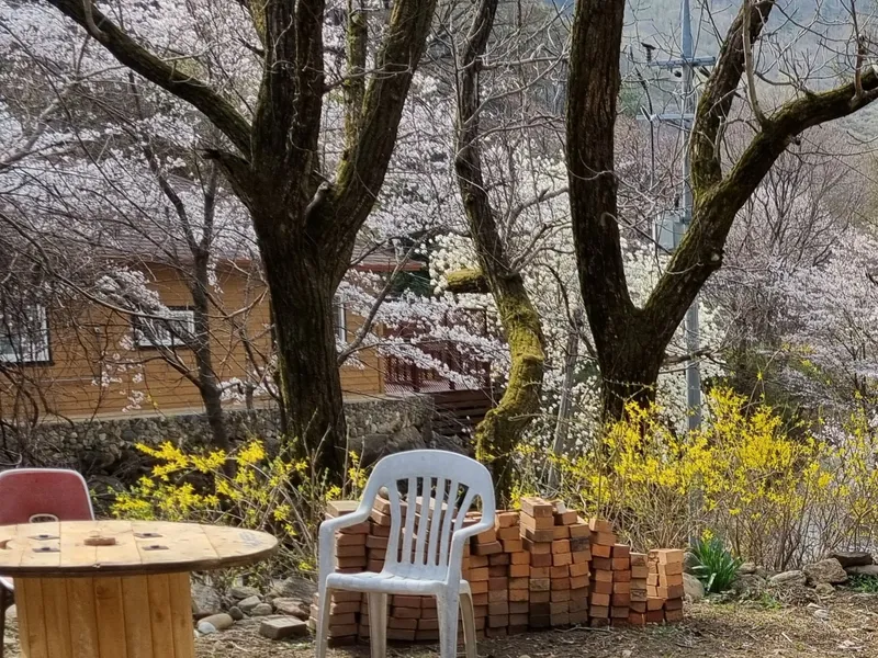 [Muju] A mud house in the forest on the slopes of Minjujisan Mountain 22