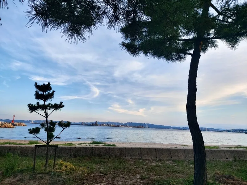[Pohang] Popular tourist attraction with a front yard oceanfront, family barbecue available. 20