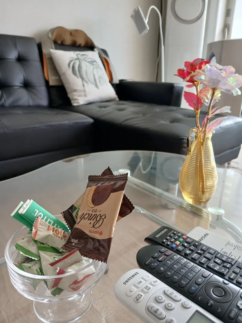 [대전 유성] 성심당 차로 10분 숲힐링 영화촬영지 20