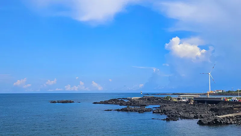 [Hallim, Jeju] #Two living rooms, bedrooms, and bathrooms #A two-story house spacious enough for two families #Dogs allowed 53