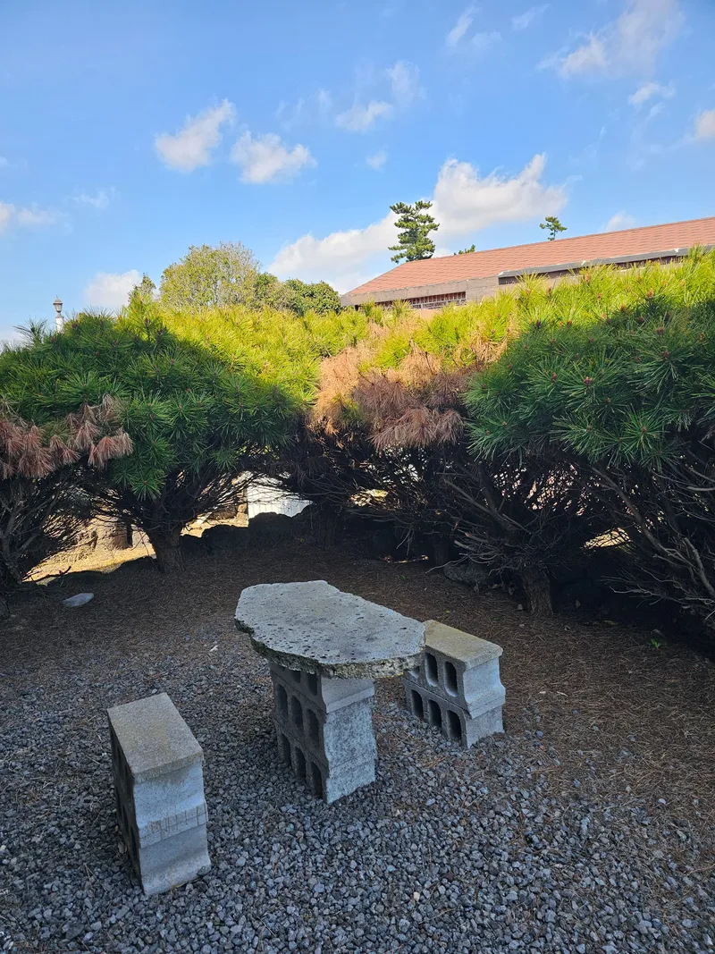 [Andeok, Seogwipo] Noriter, a private house with beautiful walking paths #DogFriendly 30