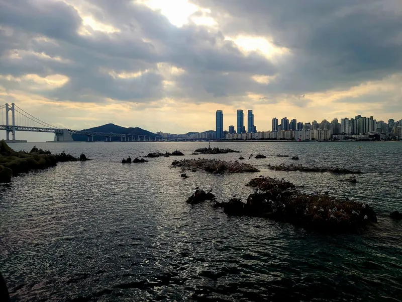 [부산 수영] 광안리 환상의오션뷰 바로바다 무료주차 34
