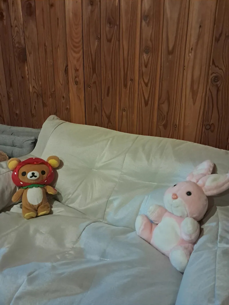[강원 평창] 대관령 자연과 힐링 양떼목장 스키장 10분거리 게스트하우스 11