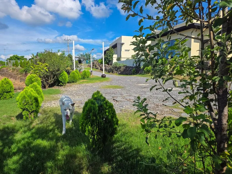 [Hallim, Jeju] Private villa with ocean view #101 52