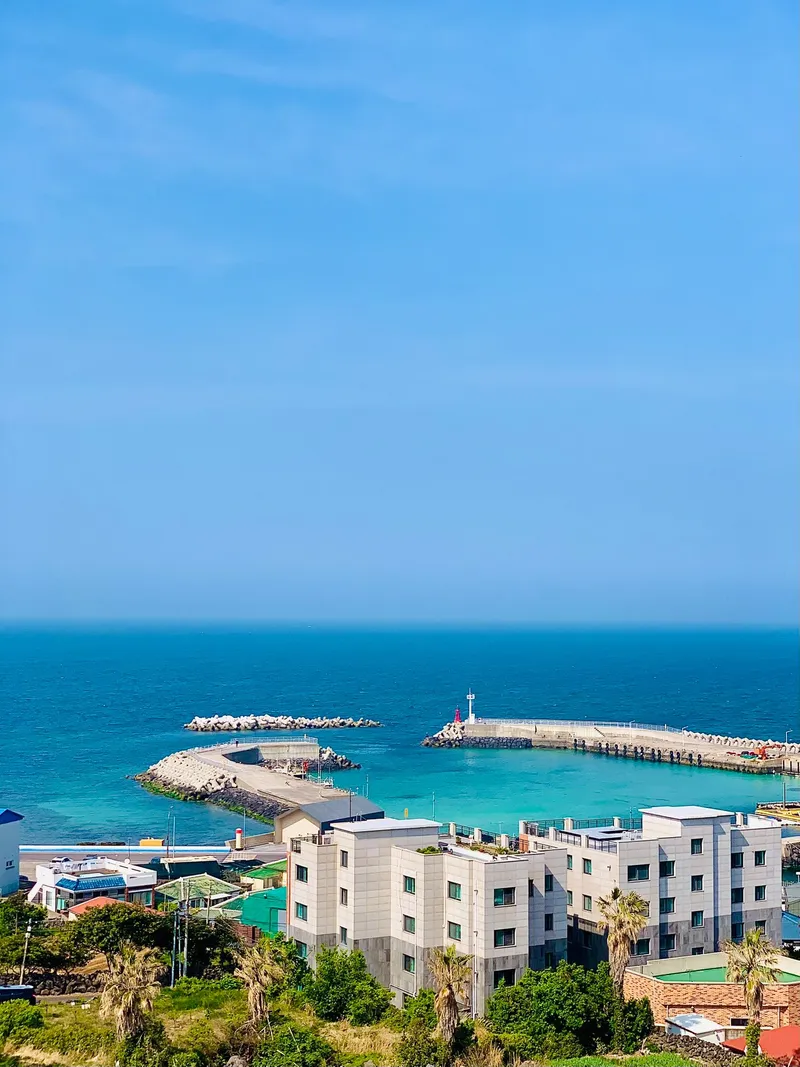[제주 조천] 함덕 한달살기  #해변3분거리 #루프탑사용 56