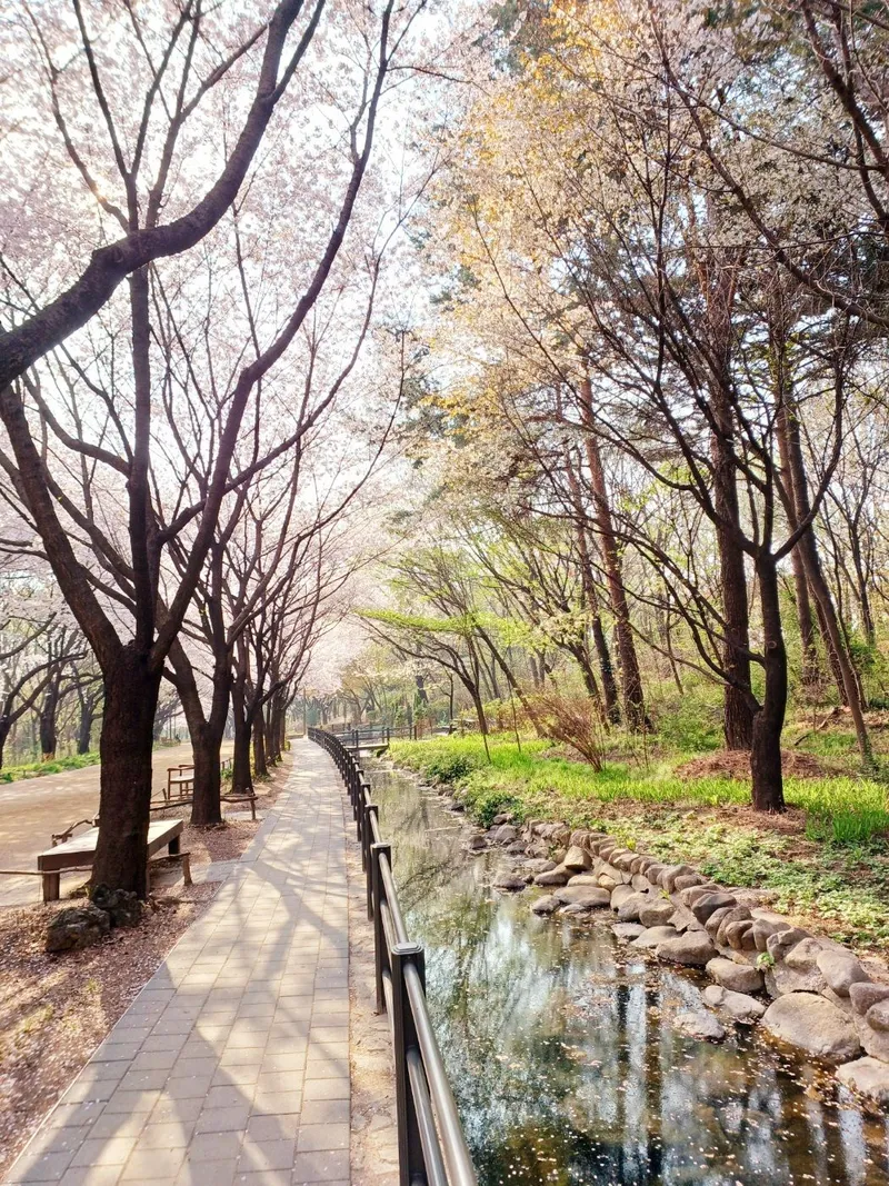 [서울 성동] 서울숲공원30초, 2호선 뚝섬역 , 밝은 1층 투룸 35