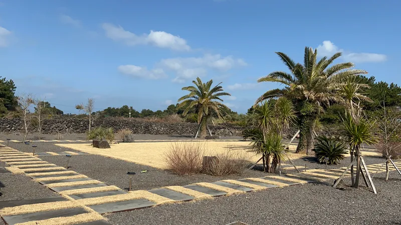 [Gujwa, Jeju][Seogwipo Seongsan] Ocean view emotional accommodation 30 seconds from the sea in front of the house (Room 101) 11