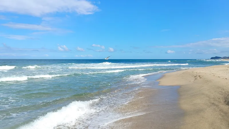 [Yangyang][Gangwon Sokcho Yangyang] Naksan Beach - & Namdaecheon Riverside Walk - Quiet Accommodation #Garden - & Balcony Barbecue 20