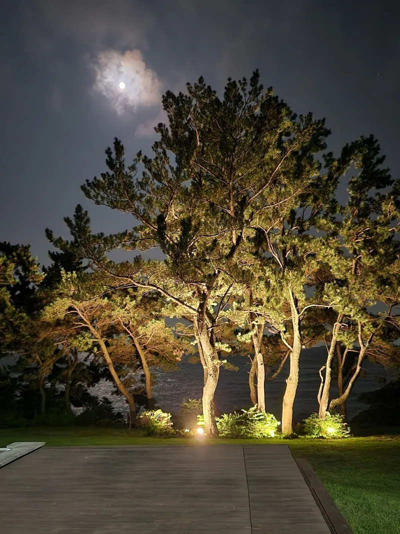 [Namwon, Seogwipo] A private house with the sea right in front of you 24