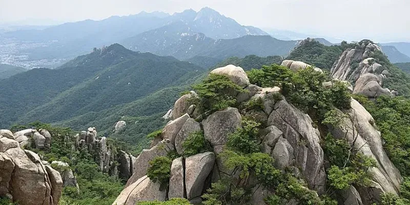 [서울 도봉] 도봉산 아래, 힐링으로 충만한 숙소 (2층침대) 19
