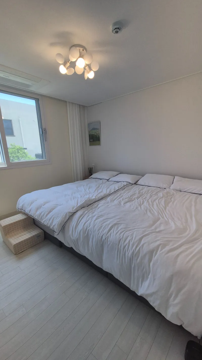 [Namwon, Seogwipo] Jeju Private Pension with Pets 4