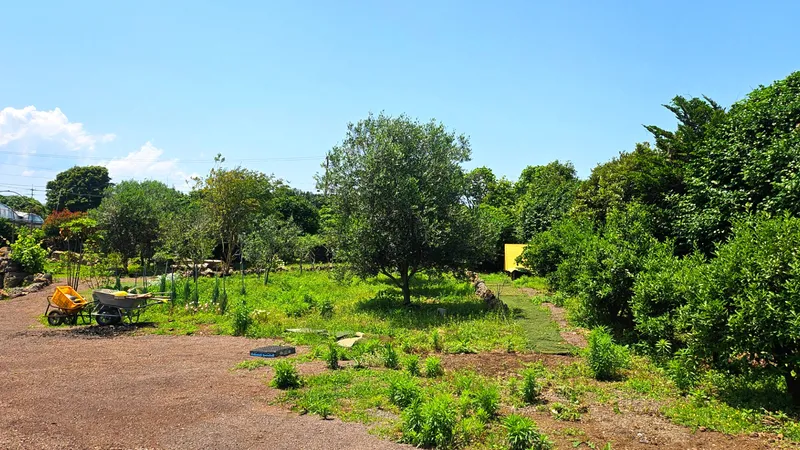 [Namwon, Seogwipo] Dog-friendly, independent stay in Namwon-eup, 3 minutes away, large dogs allowed 22