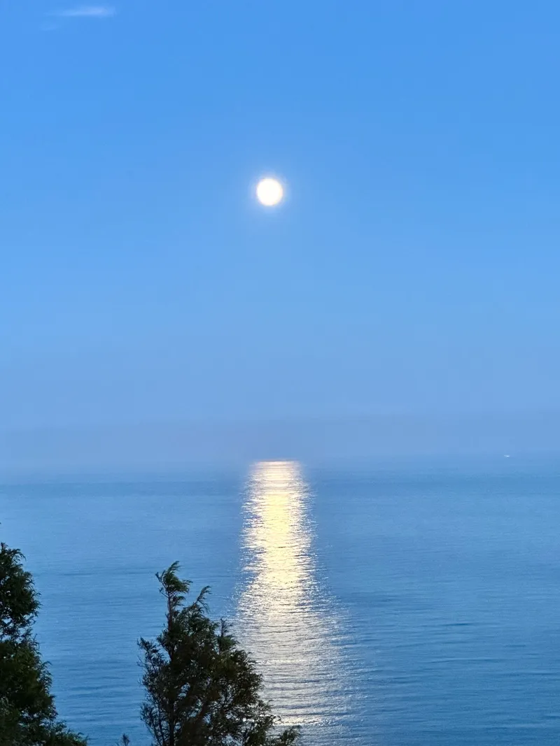 [Haeundae, Busan] 20 pyeong ocean view in Haeundae, Busan 99