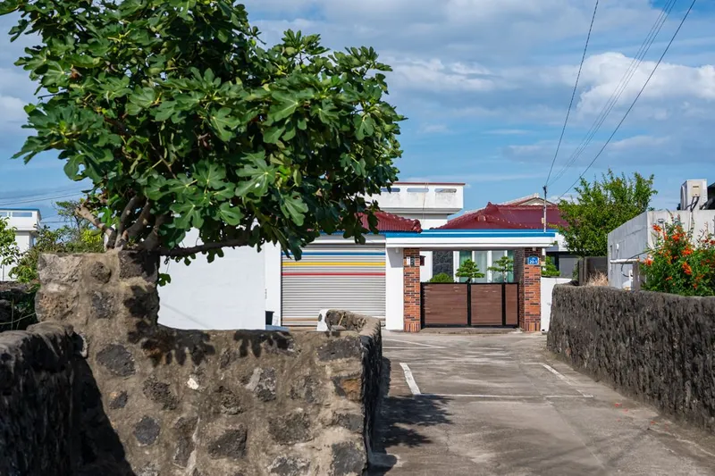 [Gujwa, Jeju] A relaxing stone-walled shade house 2 #3-minute walk from the beach in Handong-ri 11
