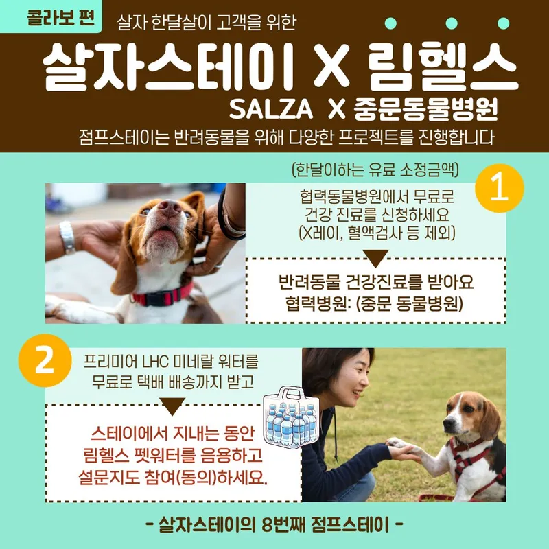 [서귀포 토평동] (7일이상)STAY점프#캠퍼스테이#도약#테라스[서귀포] 97